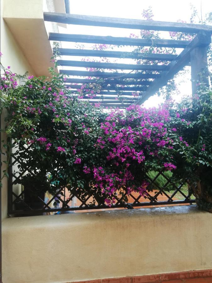 Apartamento Oasiglo La Maddalena  Exterior foto
