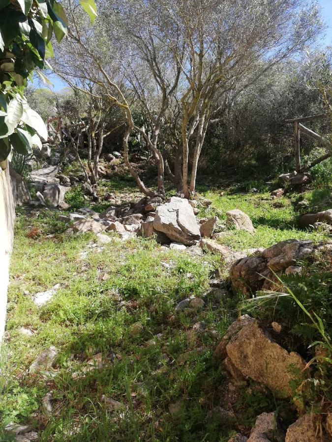 Apartamento Oasiglo La Maddalena  Exterior foto